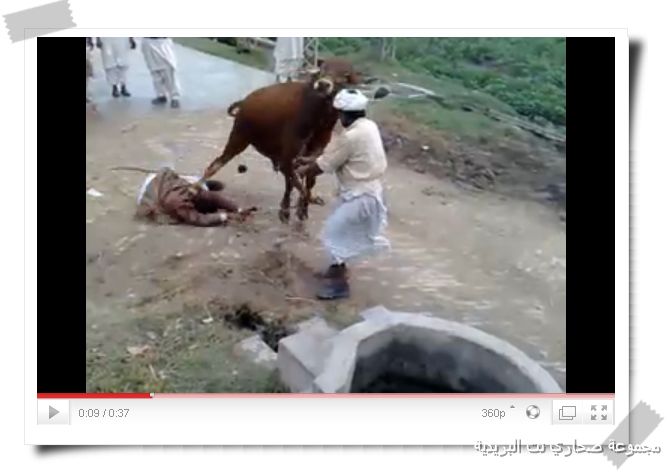 مجموعة صحاري نت البريدية