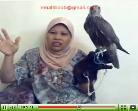 ������ ����� �� ��������