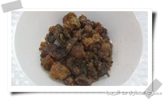 ������ ����� �� ��������