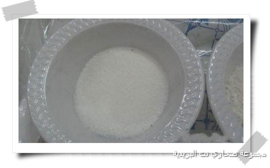 ������ ����� �� ��������