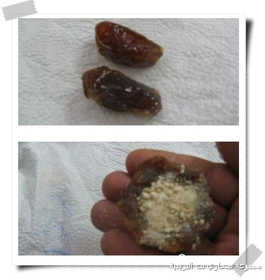 ������ ����� �� ��������